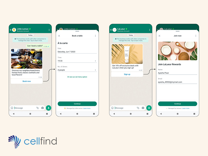 cellfind WhatsApp Flows for business campaigns