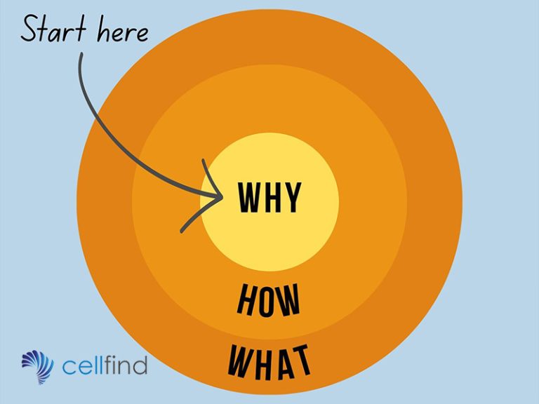 cellfind artificial intelligence in business communication