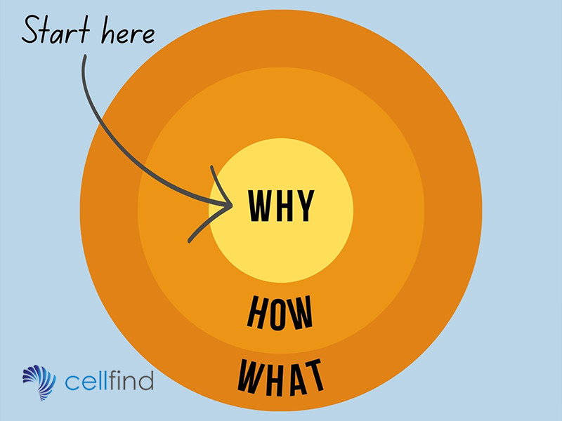 cellfind artificial intelligence in business communication