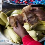 Cellfind Bridging the Financial Inclusion Gap through Zero-Rated Mobile Solutions